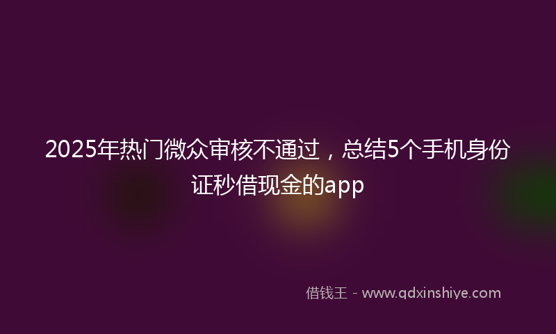 2025年热门微众审核不通过，总结5个手机身份证秒借现金的app