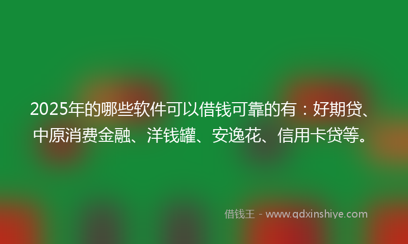 2025年的哪些软件可以借钱可靠的有：好期贷、中原消费金融、洋钱罐、安逸花、信用卡贷等。