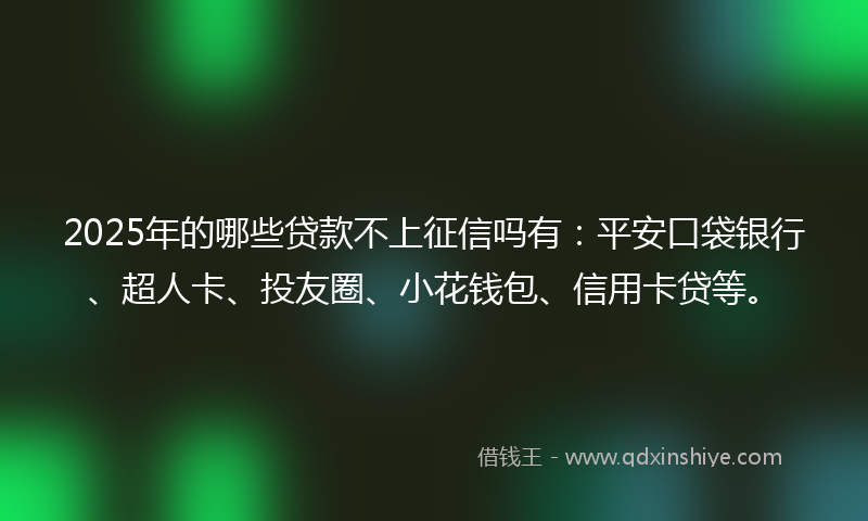 2025年的哪些贷款不上征信吗有：平安口袋银行、超人卡、投友圈、小花钱包、信用卡贷等。