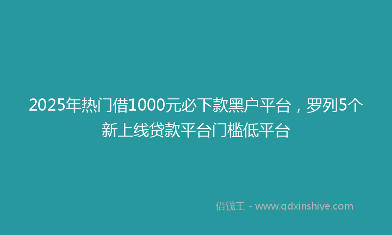 2025年热门借1000元必下款黑户平台，罗列5个新上线贷款平台门槛低平台