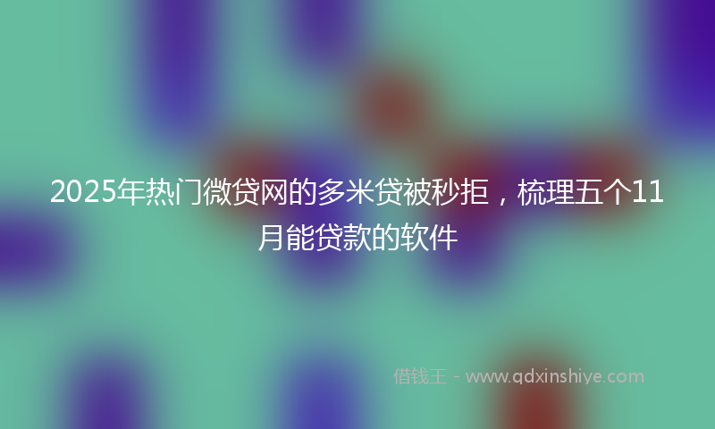 2025年热门微贷网的多米贷被秒拒，梳理五个11月能贷款的软件