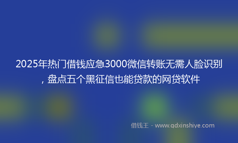 2025年热门借钱应急3000微信转账无需人脸识别，盘点五个黑征信也能贷款的网贷软件