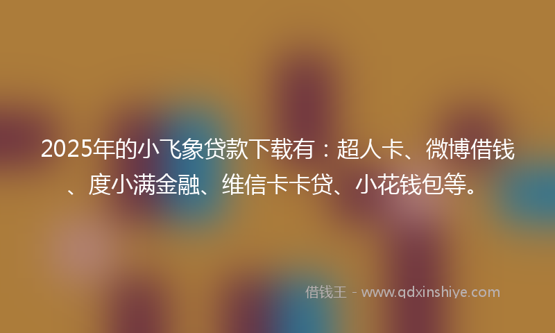2025年的小飞象贷款下载有：超人卡、微博借钱、度小满金融、维信卡卡贷、小花钱包等。