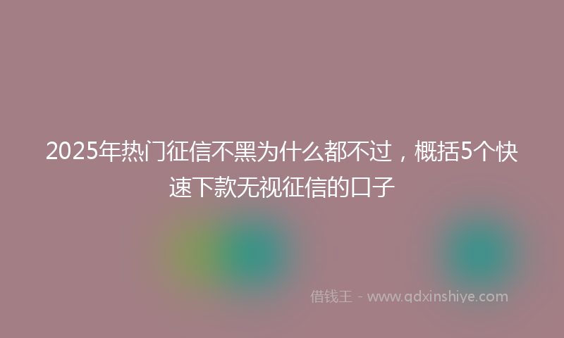2025年热门征信不黑为什么都不过，概括5个快速下款无视征信的口子