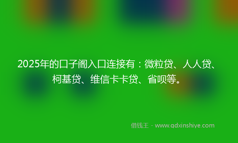 2025年的口子阁入口连接有：微粒贷、人人贷、柯基贷、维信卡卡贷、省呗等。