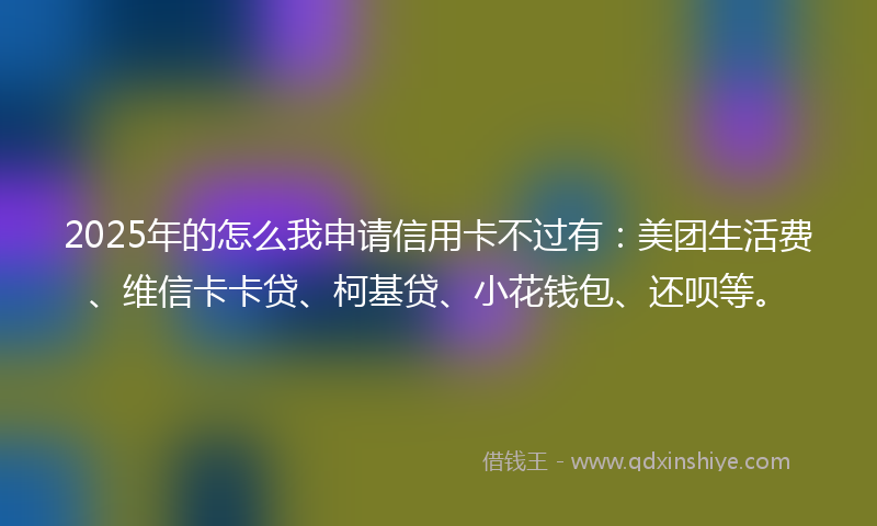 2025年的怎么我申请信用卡不过有：美团生活费、维信卡卡贷、柯基贷、小花钱包、还呗等。