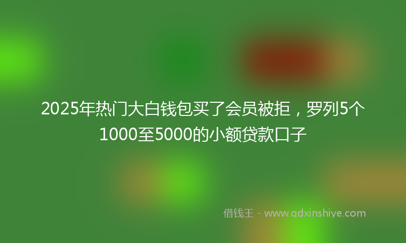 2025年热门大白钱包买了会员被拒，罗列5个1000至5000的小额贷款口子