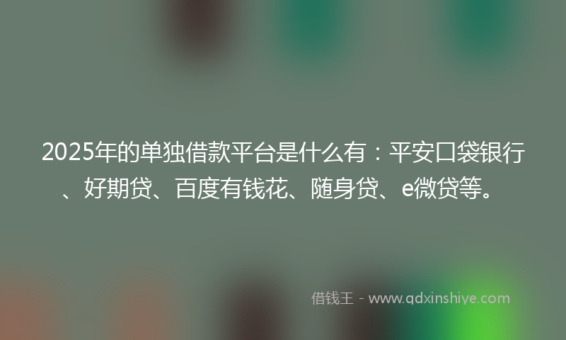 2025年的单独借款平台是什么有：平安口袋银行、好期贷、百度有钱花、随身贷、e微贷等。