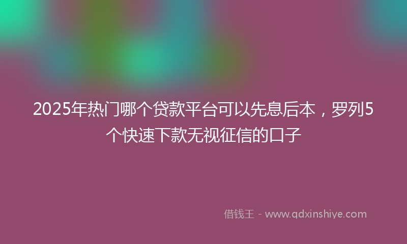 2025年热门哪个贷款平台可以先息后本，罗列5个快速下款无视征信的口子