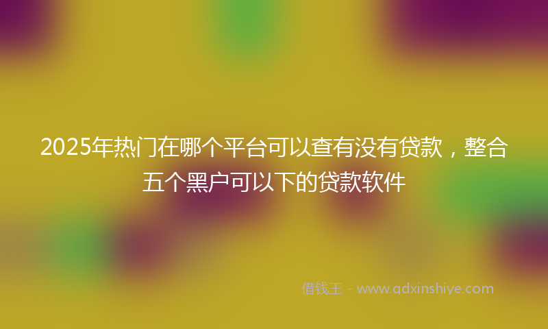 2025年热门在哪个平台可以查有没有贷款，整合五个黑户可以下的贷款软件
