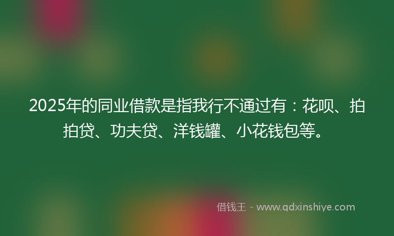 2025年的同业借款是指我行不通过有：花呗、拍拍贷、功夫贷、洋钱罐、小花钱包等。
