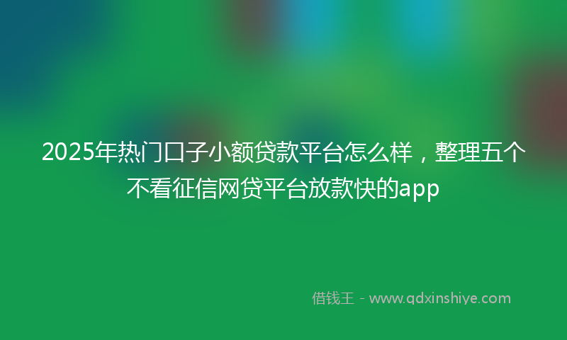 2025年热门口子小额贷款平台怎么样，整理五个不看征信网贷平台放款快的app