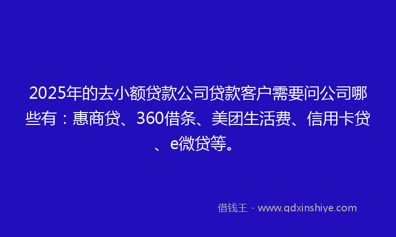 2025年的去小额贷款公司贷款客户需要问公司哪些有：惠商贷、360借条、美团生活费、信用卡贷、e微贷等。
