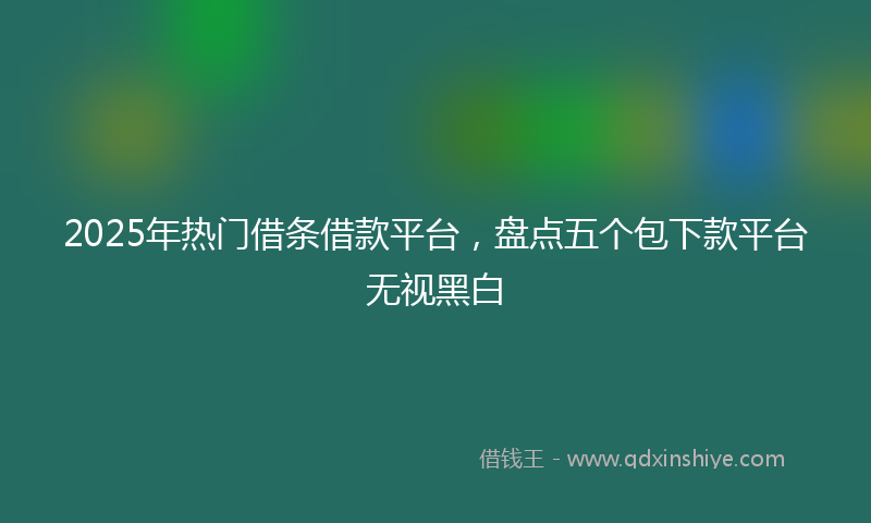 2025年热门借条借款平台，盘点五个包下款平台无视黑白