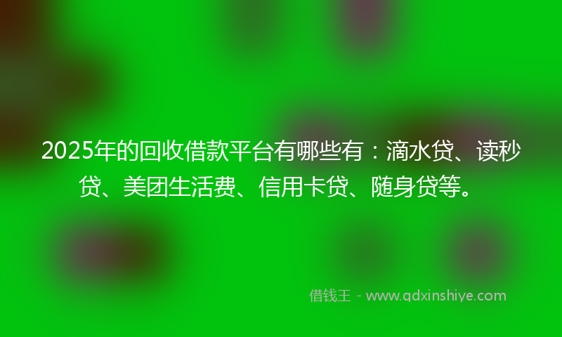 2025年的回收借款平台有哪些有：滴水贷、读秒贷、美团生活费、信用卡贷、随身贷等。
