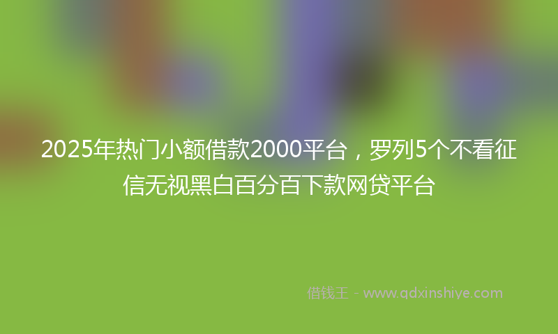 2025年热门小额借款2000平台，罗列5个不看征信无视黑白百分百下款网贷平台