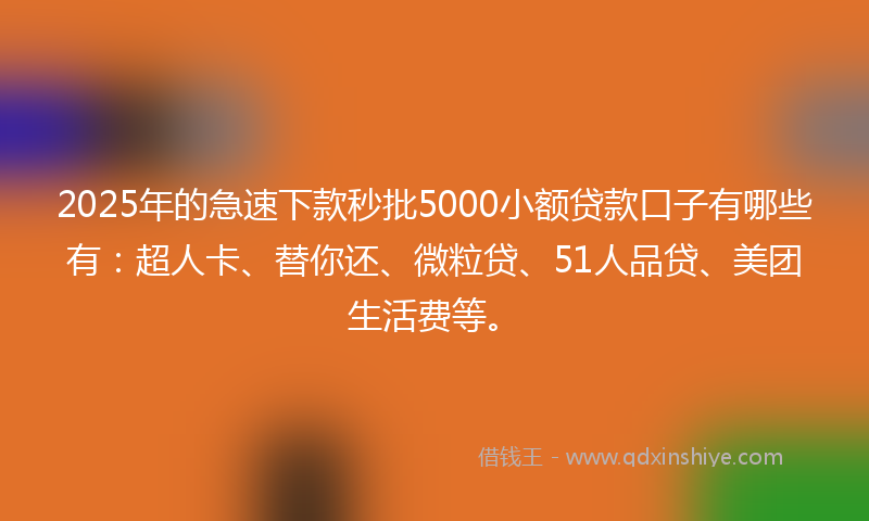 2025年的急速下款秒批5000小额贷款口子有哪些有：超人卡、替你还、微粒贷、51人品贷、美团生活费等。