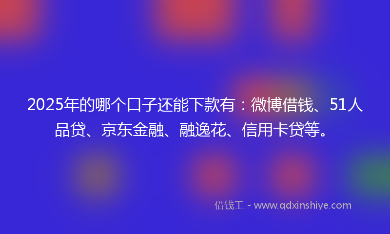 2025年的哪个口子还能下款有：微博借钱、51人品贷、京东金融、融逸花、信用卡贷等。