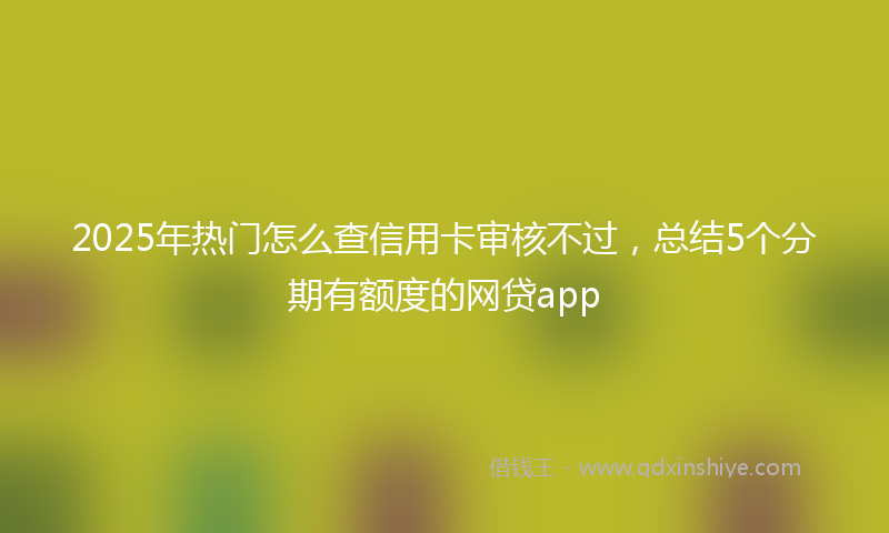 2025年热门怎么查信用卡审核不过，总结5个分期有额度的网贷app