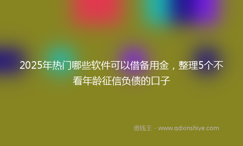 2025年热门哪些软件可以借备用金，整理5个不看年龄征信负债的口子