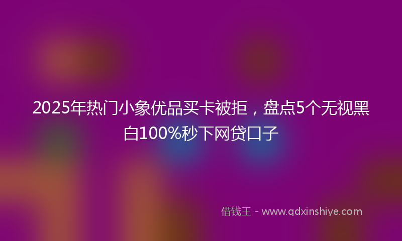 2025年热门小象优品买卡被拒，盘点5个无视黑白100%秒下网贷口子