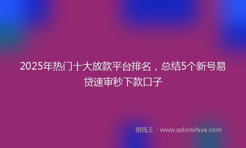 2025年热门十大放款平台排名，总结5个新号易贷速审秒下款口子