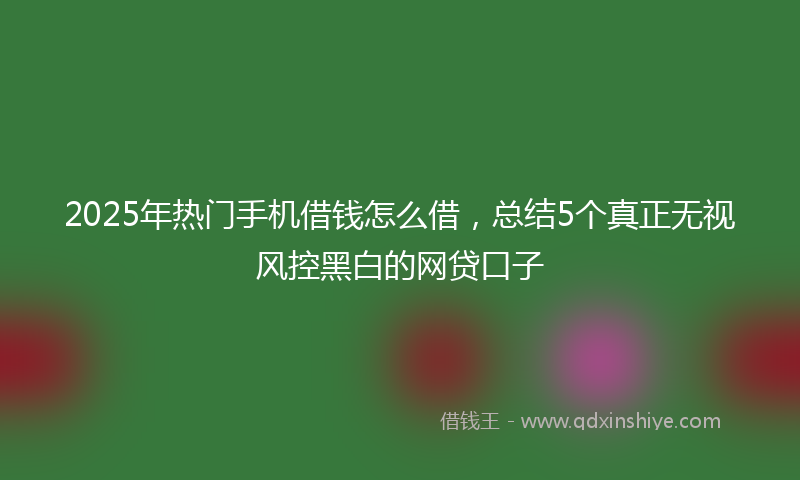 2025年热门手机借钱怎么借，总结5个真正无视风控黑白的网贷口子