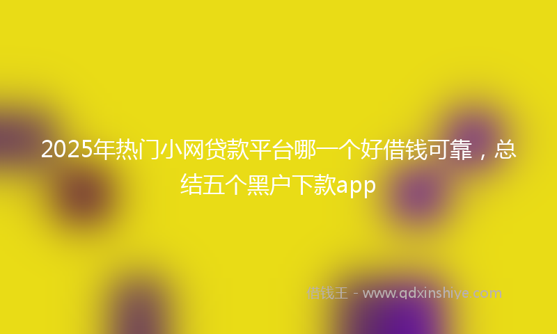 2025年热门小网贷款平台哪一个好借钱可靠，总结五个黑户下款app