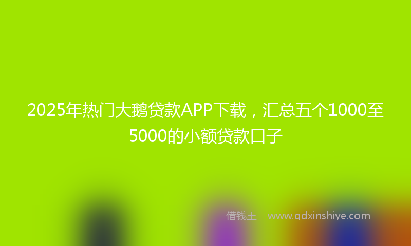 2025年热门大鹅贷款APP下载，汇总五个1000至5000的小额贷款口子