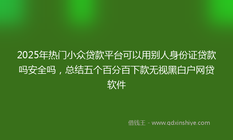 2025年热门小众贷款平台可以用别人身份证贷款吗安全吗，总结五个百分百下款无视黑白户网贷软件