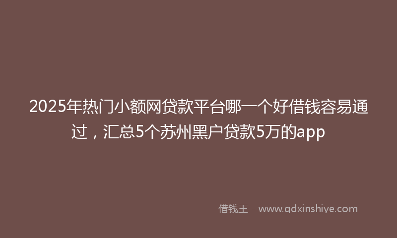 2025年热门小额网贷款平台哪一个好借钱容易通过，汇总5个苏州黑户贷款5万的app