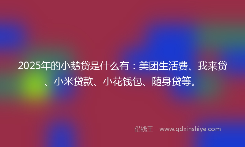 2025年的小鹅贷是什么有：美团生活费、我来贷、小米贷款、小花钱包、随身贷等。