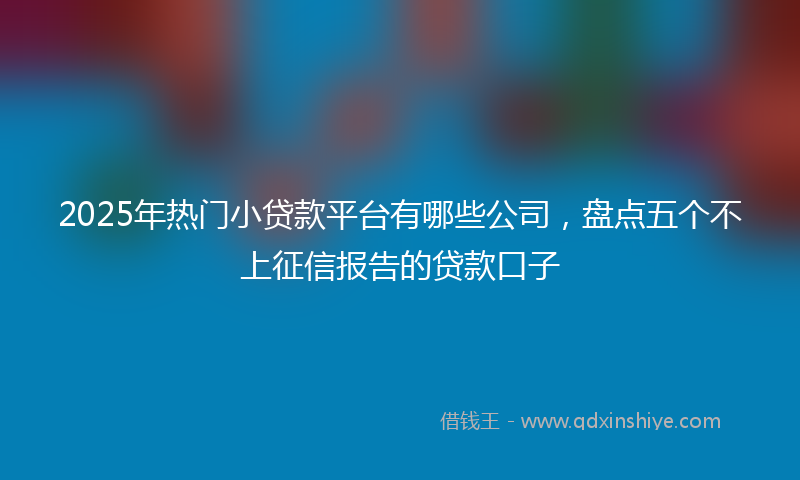 2025年热门小贷款平台有哪些公司，盘点五个不上征信报告的贷款口子