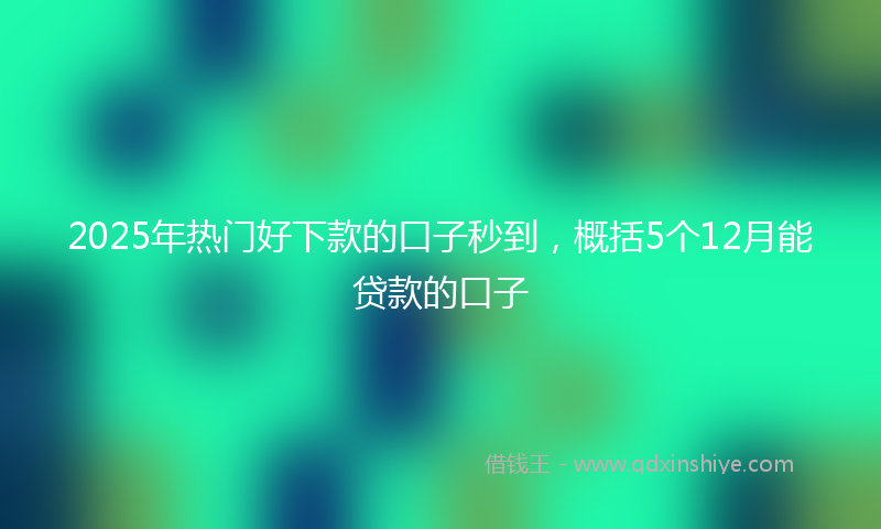 2025年热门好下款的口子秒到，概括5个12月能贷款的口子