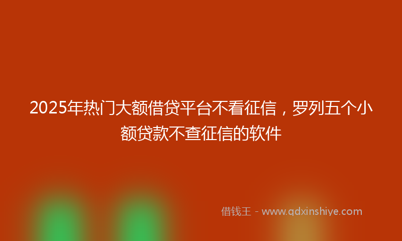 2025年热门大额借贷平台不看征信，罗列五个小额贷款不查征信的软件