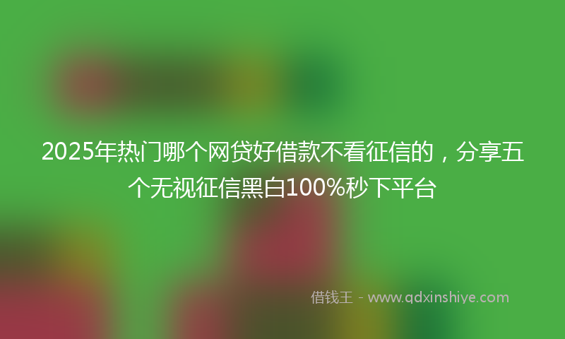 2025年热门哪个网贷好借款不看征信的，分享五个无视征信黑白100%秒下平台