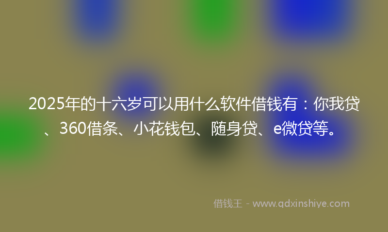2025年的十六岁可以用什么软件借钱有：你我贷、360借条、小花钱包、随身贷、e微贷等。