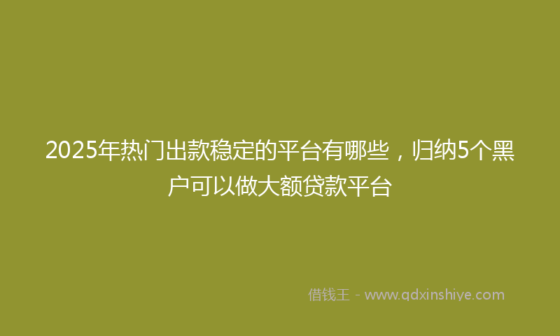 2025年热门出款稳定的平台有哪些，归纳5个黑户可以做大额贷款平台