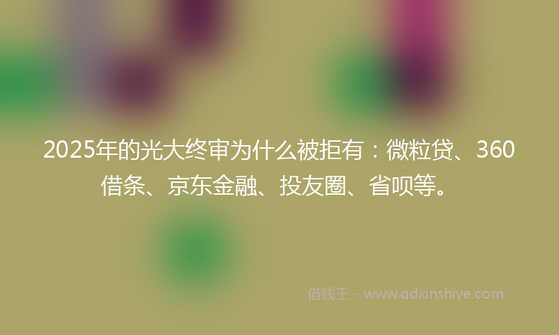 2025年的光大终审为什么被拒有：微粒贷、360借条、京东金融、投友圈、省呗等。
