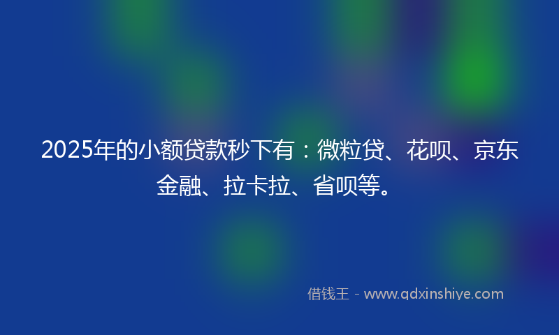 2025年的小额贷款秒下有：微粒贷、花呗、京东金融、拉卡拉、省呗等。