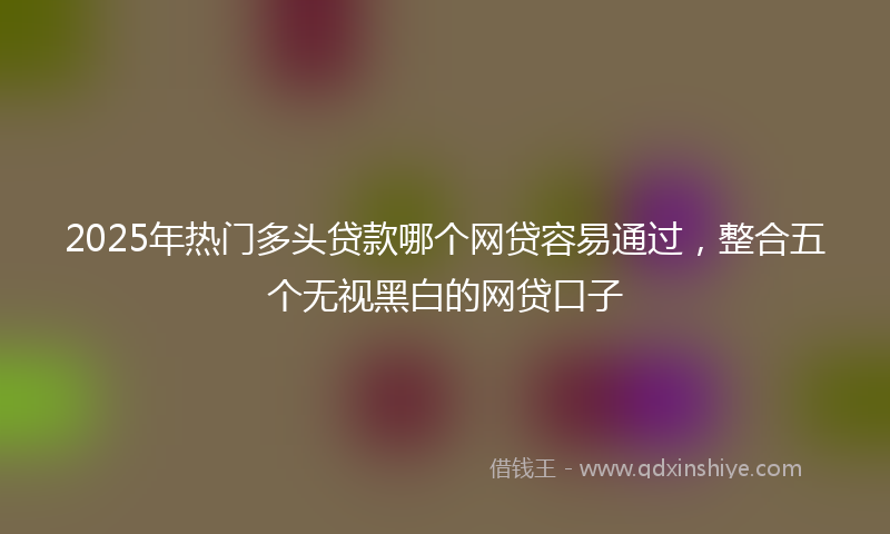 2025年热门多头贷款哪个网贷容易通过，整合五个无视黑白的网贷口子