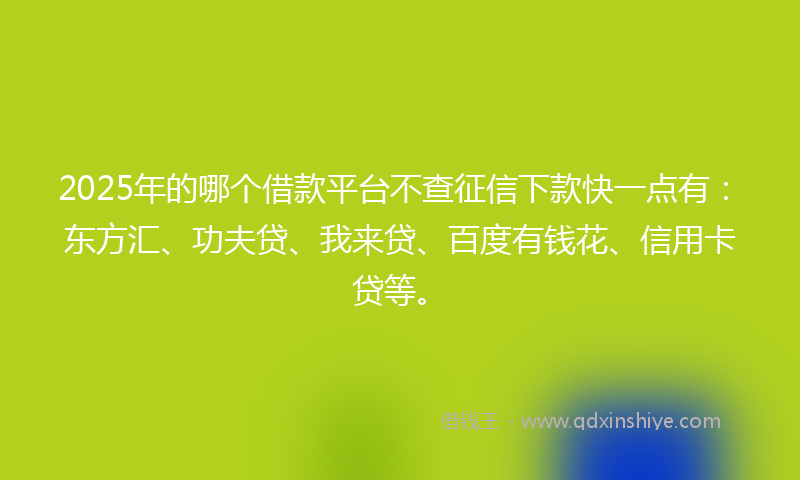 2025年的哪个借款平台不查征信下款快一点有：东方汇、功夫贷、我来贷、百度有钱花、信用卡贷等。