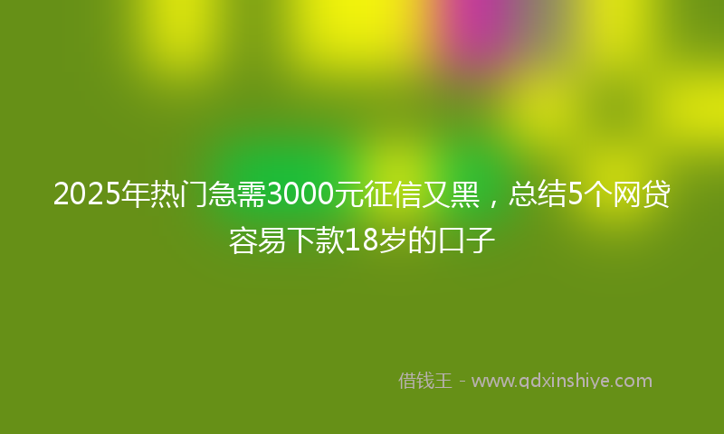 2025年热门急需3000元征信又黑，总结5个网贷容易下款18岁的口子