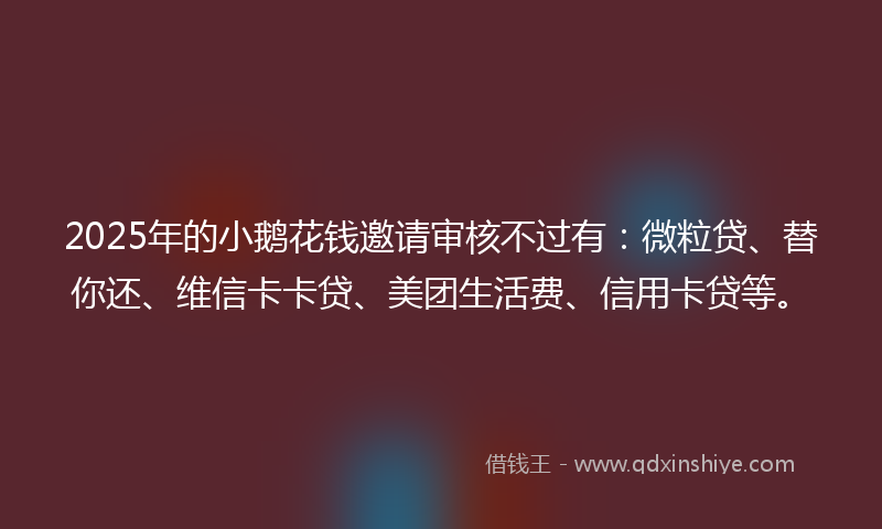 2025年的小鹅花钱邀请审核不过有：微粒贷、替你还、维信卡卡贷、美团生活费、信用卡贷等。