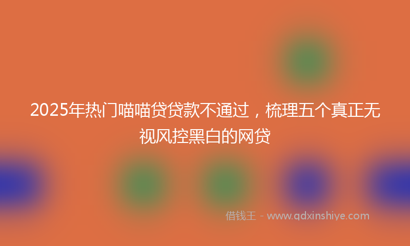 2025年热门喵喵贷贷款不通过，梳理五个真正无视风控黑白的网贷