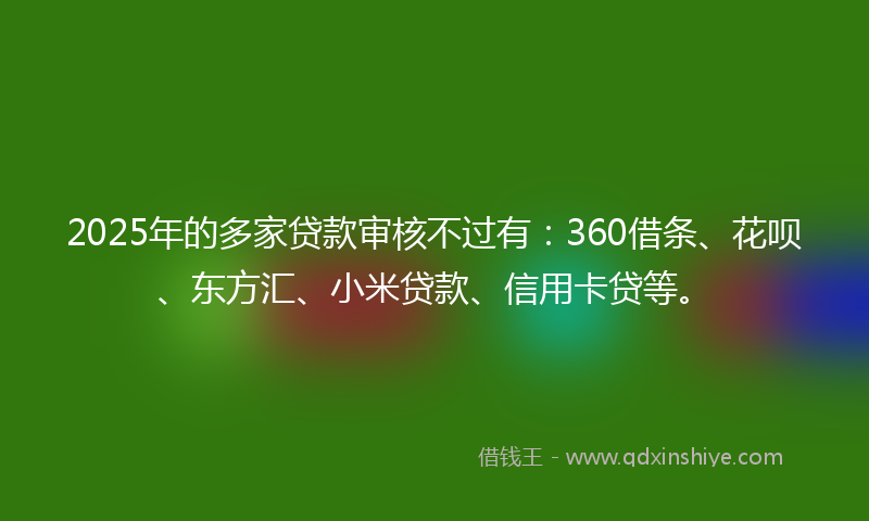2025年的多家贷款审核不过有：360借条、花呗、东方汇、小米贷款、信用卡贷等。