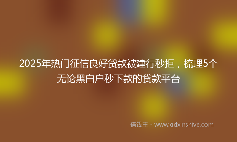 2025年热门征信良好贷款被建行秒拒，梳理5个无论黑白户秒下款的贷款平台