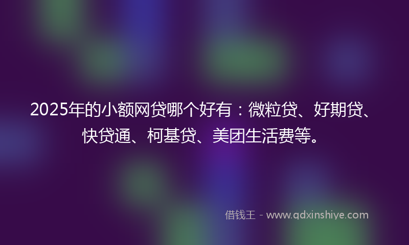 2025年的小额网贷哪个好有：微粒贷、好期贷、快贷通、柯基贷、美团生活费等。