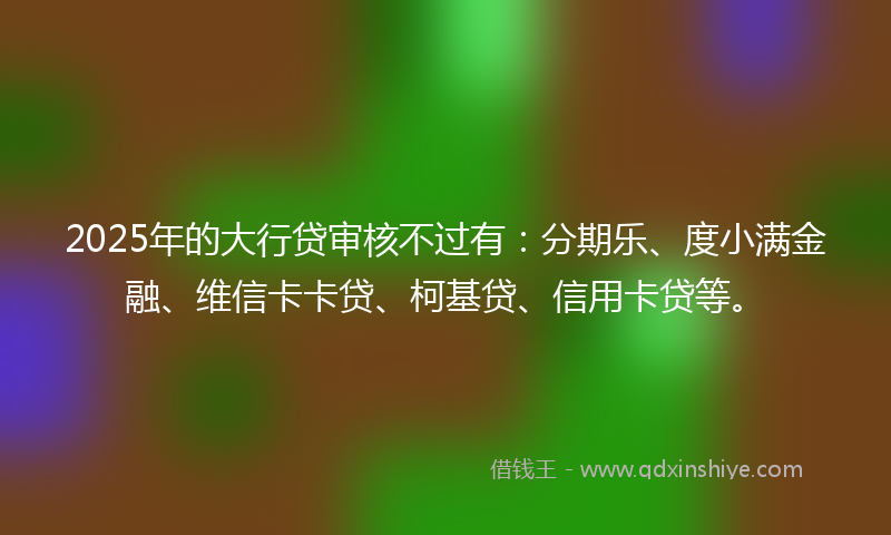 2025年的大行贷审核不过有：分期乐、度小满金融、维信卡卡贷、柯基贷、信用卡贷等。
