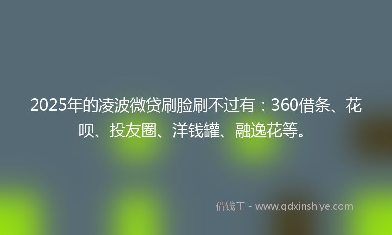 2025年的凌波微贷刷脸刷不过有：360借条、花呗、投友圈、洋钱罐、融逸花等。